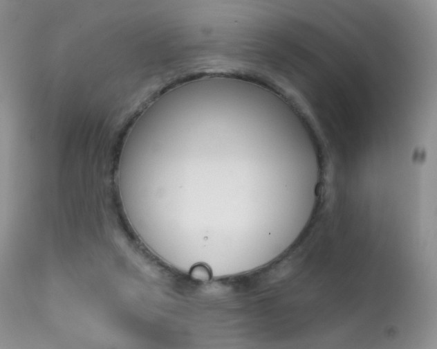 X0000113200257200909100929