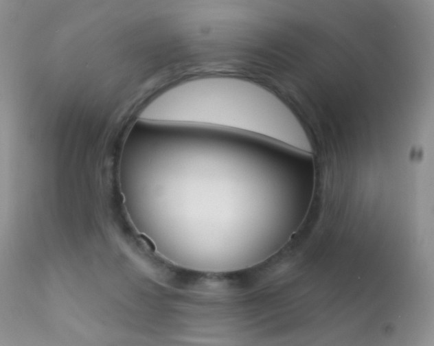 X0000113200260200909100929