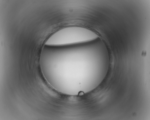 X0000113200261200909100929