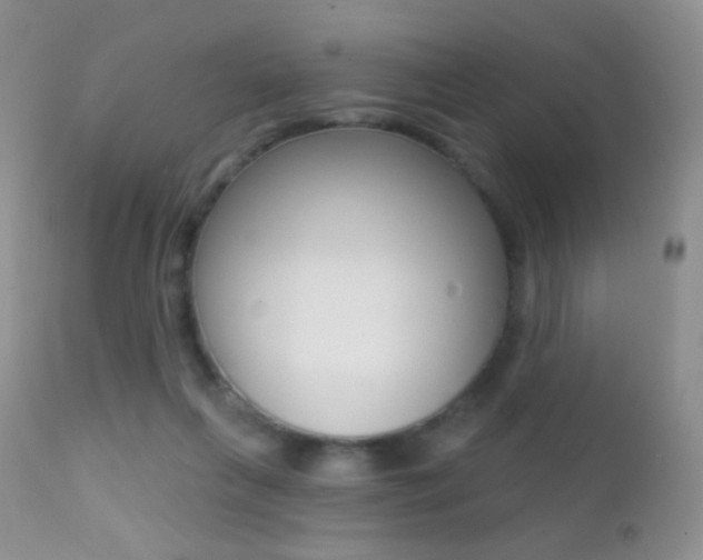 X0000113200263200909100929