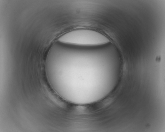 X0000113200265200909100929