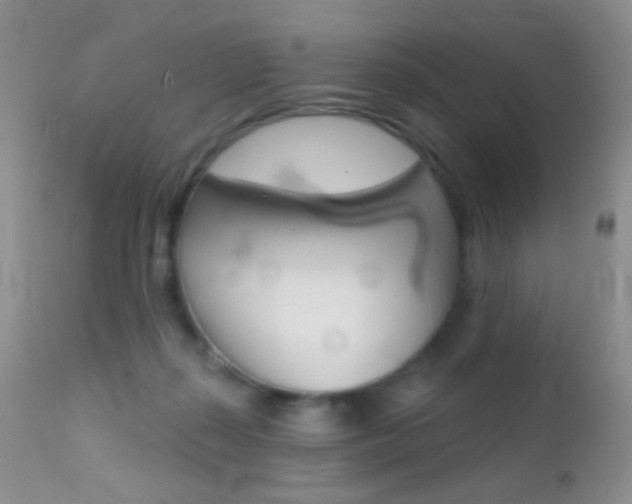 X0000113200267200909100929
