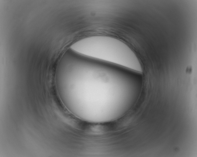 X0000113200268200909100929