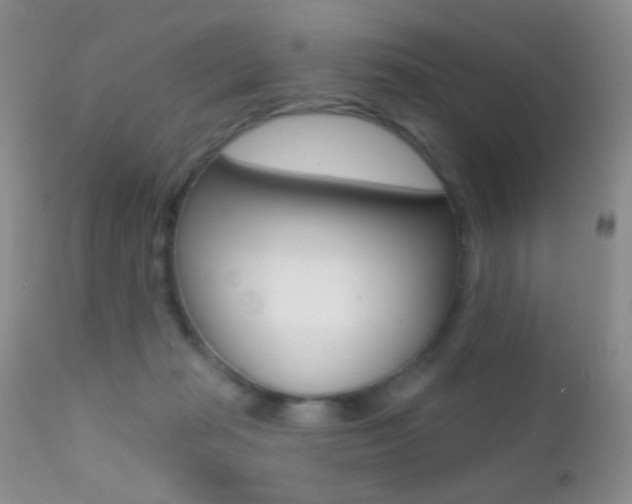 X0000113200269200909100929