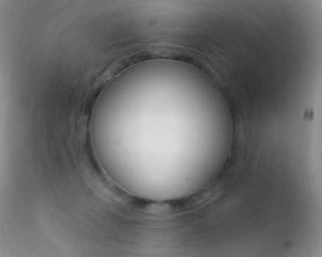 X0000113200271200909100929