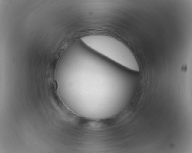 X0000113200272200909100929