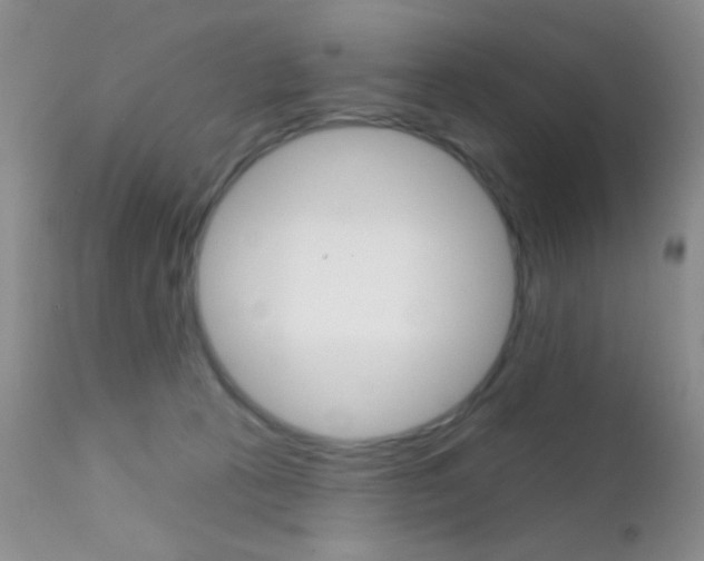 X0000113200273200909100929