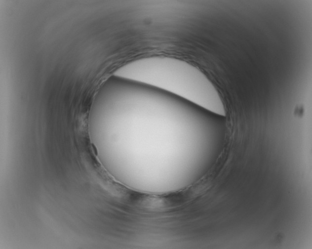 X0000113200276200909100929