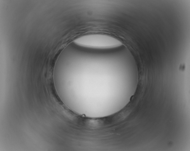 X0000113200277200909100929
