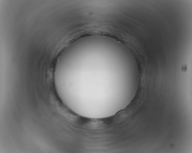 X0000113200278200909100929