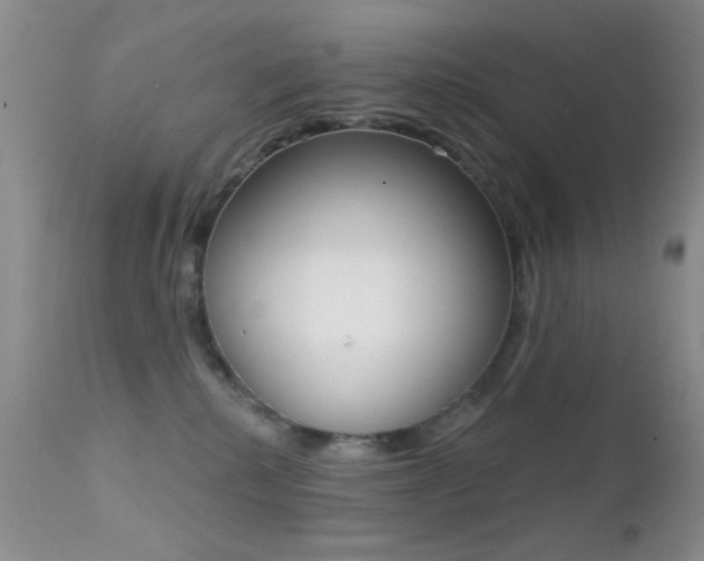 X0000113200280200909100929
