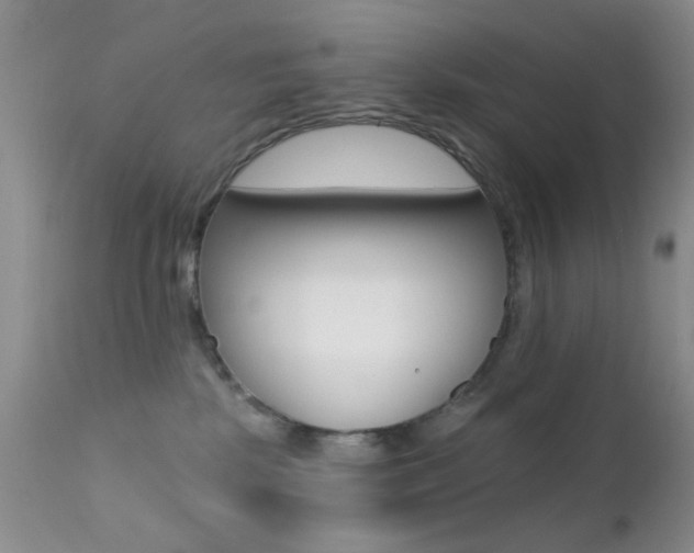 X0000113200281200909100929