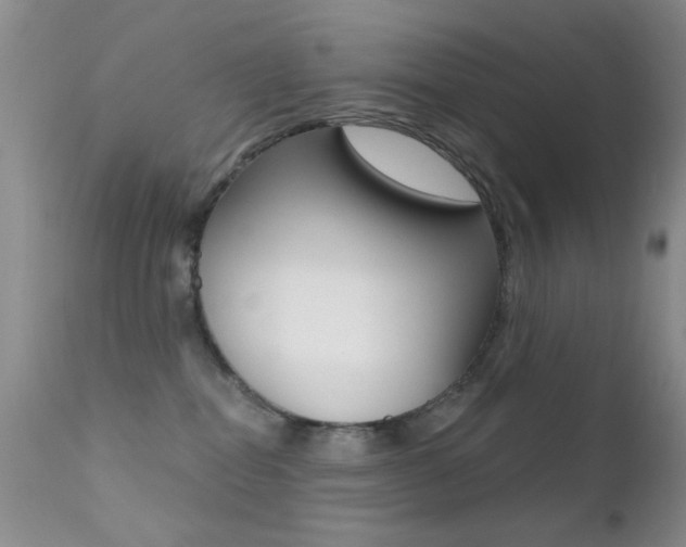 X0000113200282200909100929