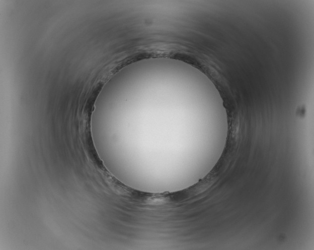 X0000113200283200909100929