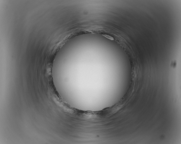X0000113200284200909100929