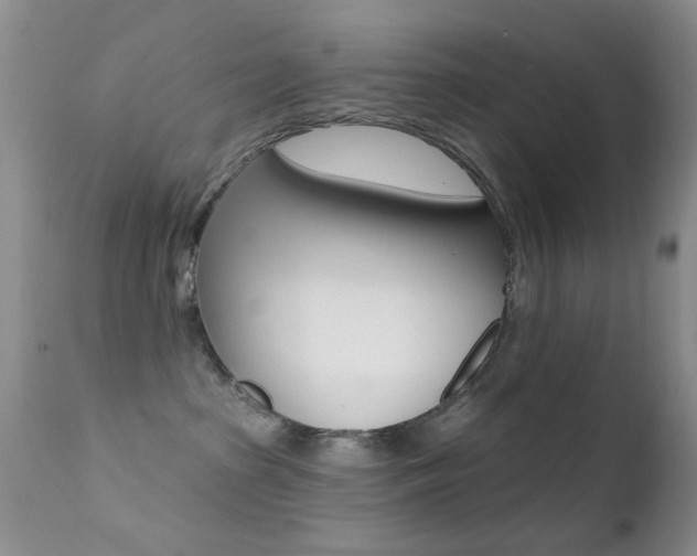 X0000113200285200909100929