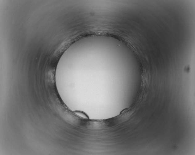 X0000113200286200909100929