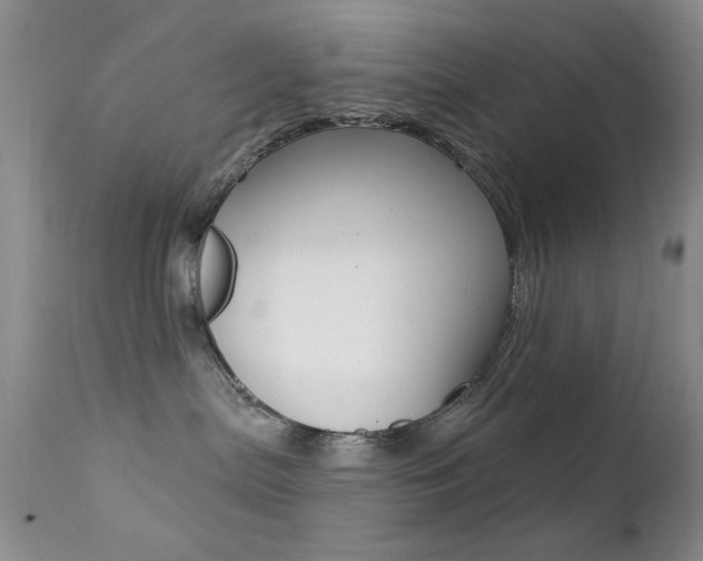 X0000113200287200909100929