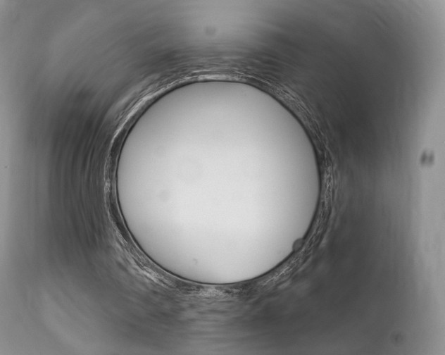 X0000113200290200909100929