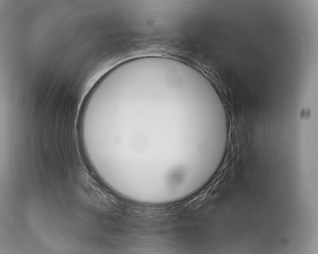 X0000113200292200909100929