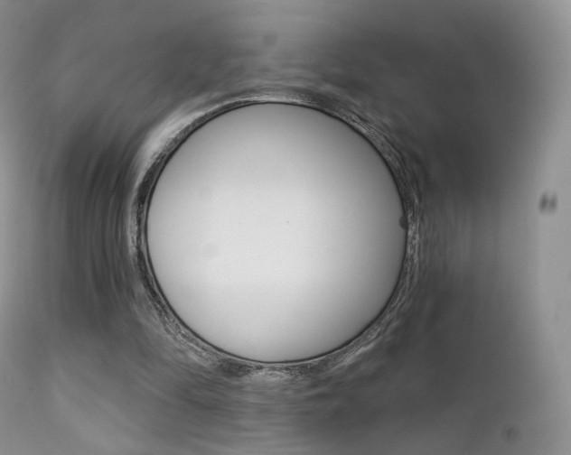 X0000113200294200909100929