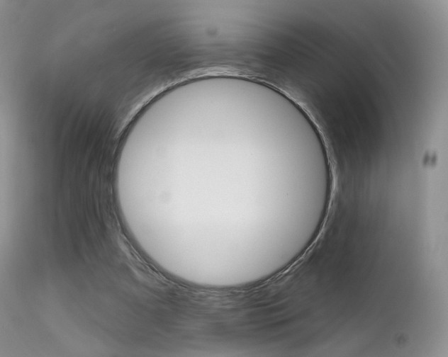 X0000113200297200909100928