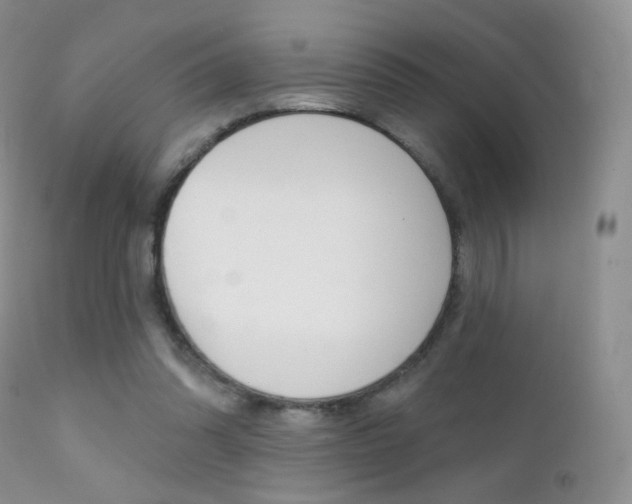 X0000113200302200909100928