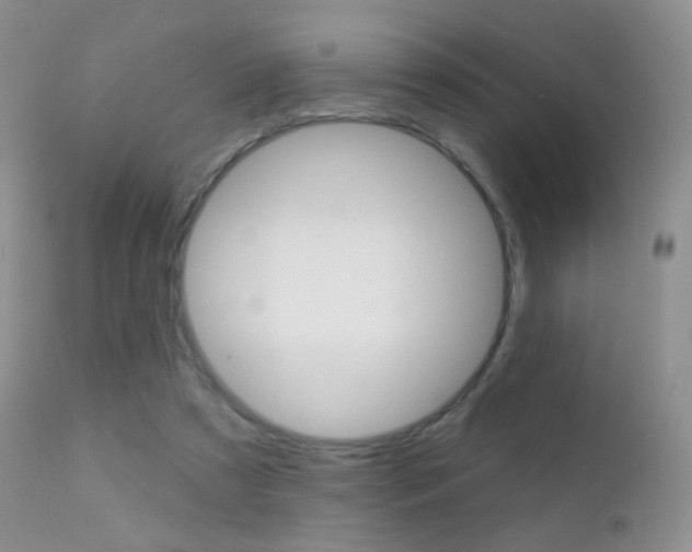 X0000113200305200909100928