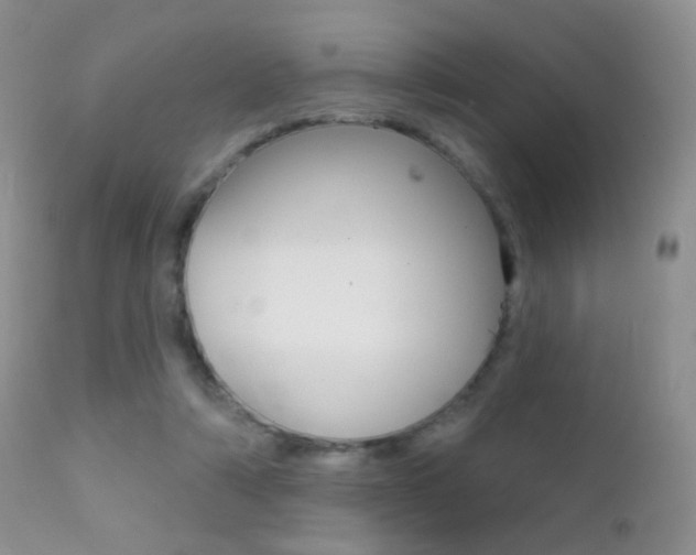 X0000113200306200909100928