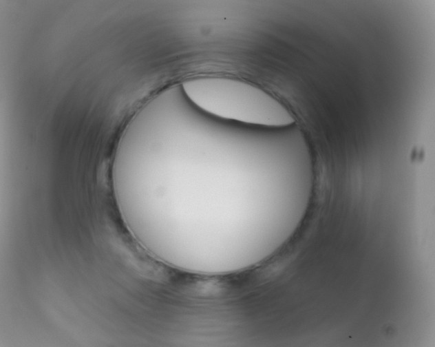 X0000113200310200909100928