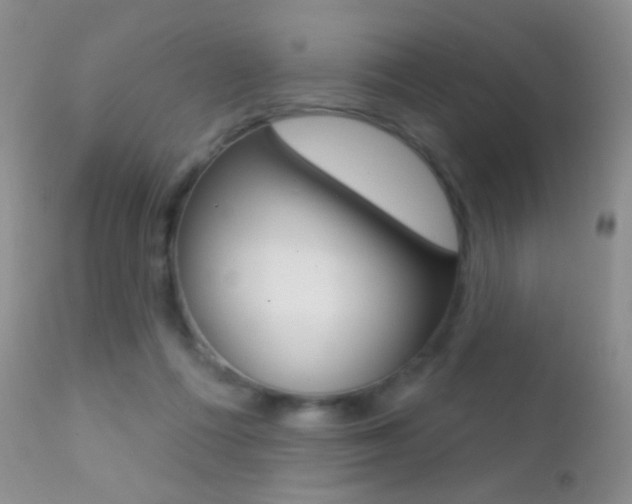 X0000113200312200909100928