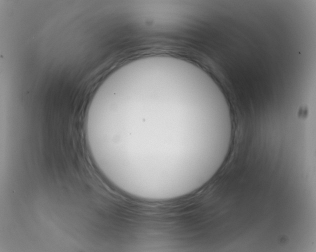 X0000113200313200909100928