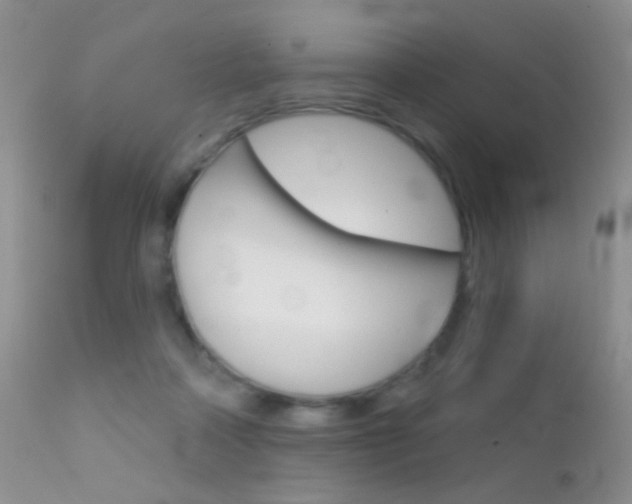 X0000113200314200909100928