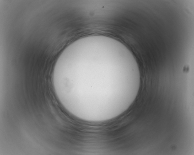 X0000113200316200909100928