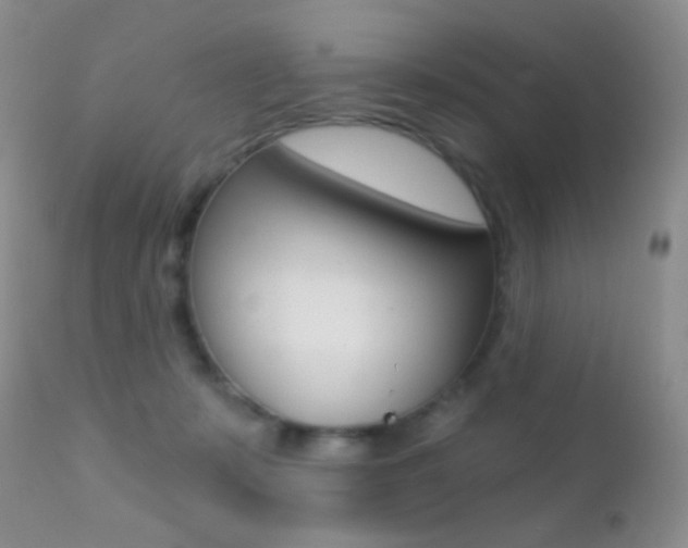 X0000113200319200909100928