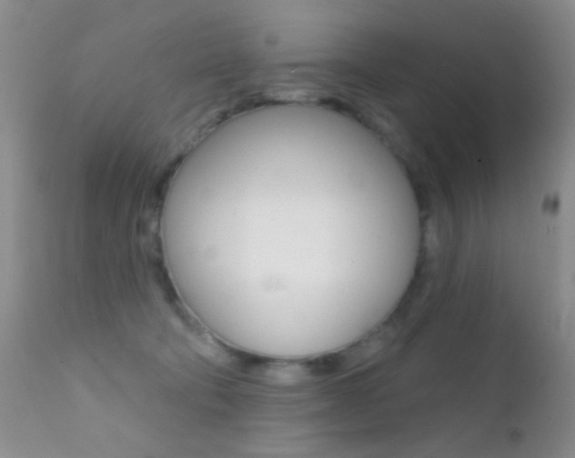 X0000113200322200909100928