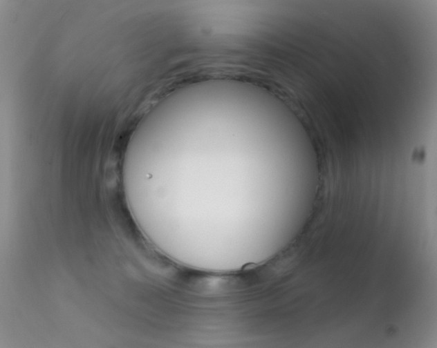X0000113200323200909100928
