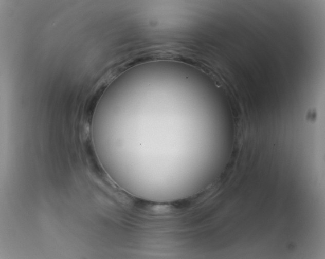 X0000113200324200909100928