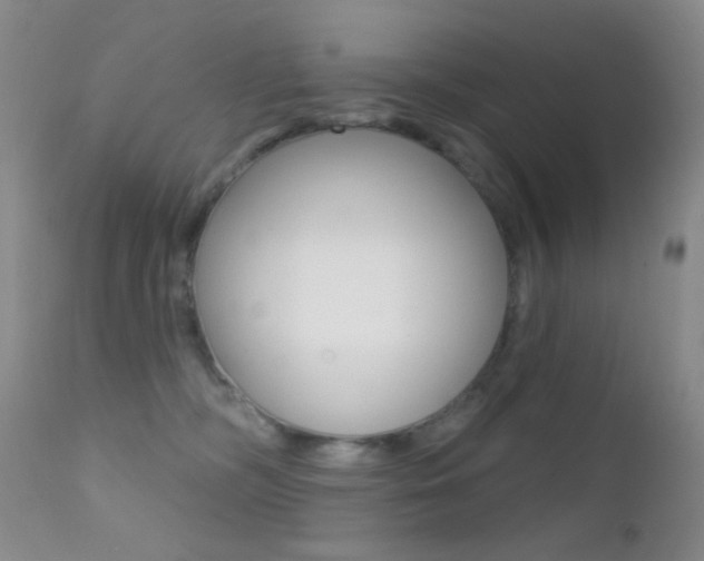 X0000113200326200909100928