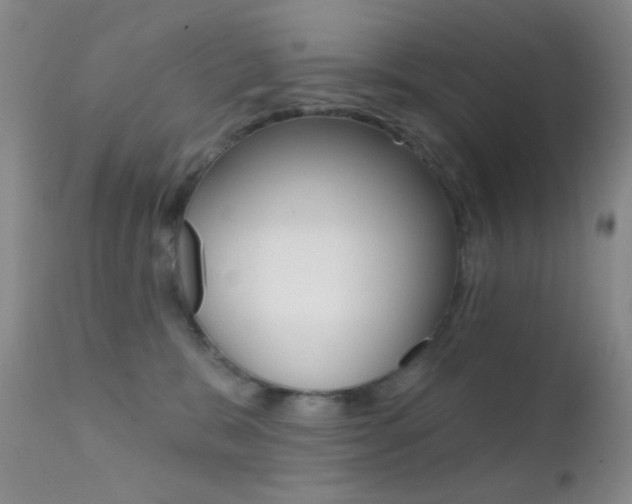 X0000113200327200909100928