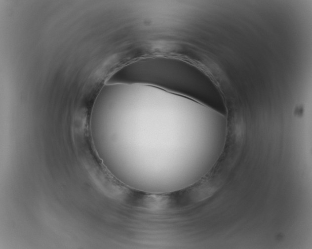 X0000113200328200909100928
