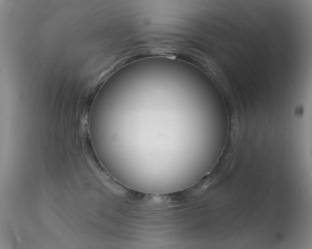 X0000113200329200909100928