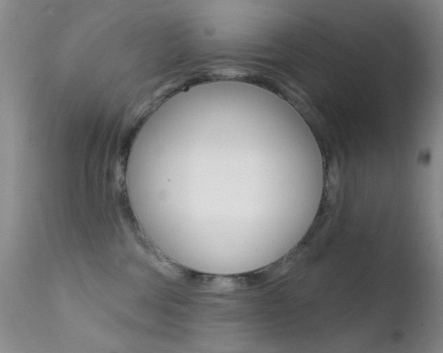 X0000113200330200909100928