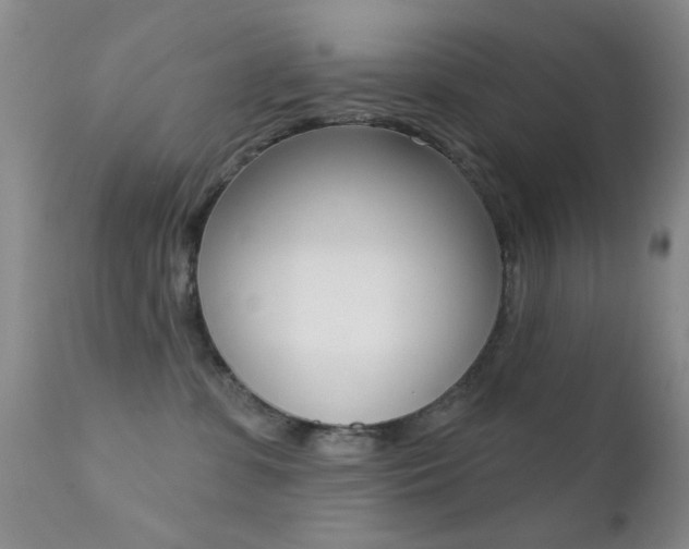 X0000113200331200909100928