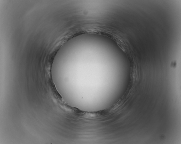 X0000113200332200909100928