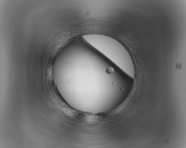 X0000113200336200909100928