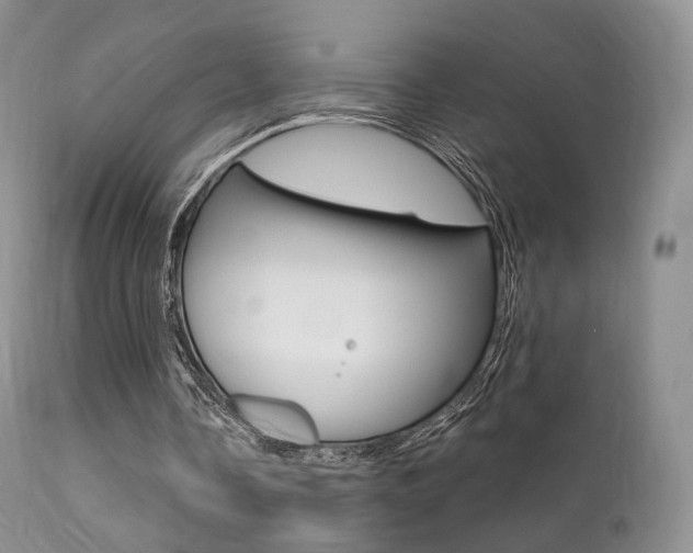 X0000113200338200909100927