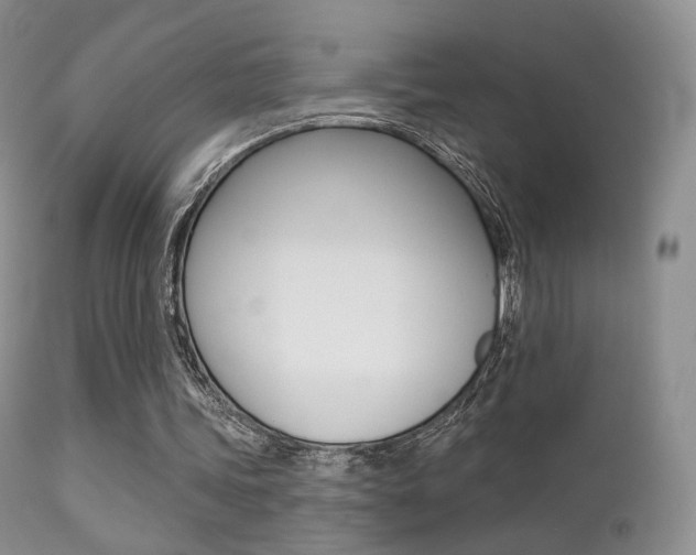 X0000113200339200909100927