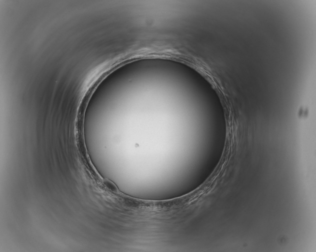 X0000113200340200909100927