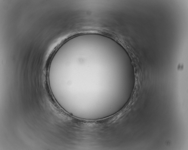 X0000113200342200909100927
